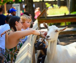 Cape May County Zoo: 70 Things To Do with Kids at the Jersey Shore