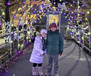 Staycation Ideas in New Jersey: Turtleback Zoo Holiday Lights