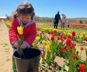 100 things to do in New Jersey witk kids:: Holland Ridge Farms