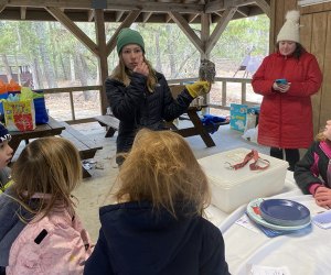 Thanksgiving and Holiday Volunteering Woodford Cedar Run Wildlife Refuge