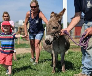 Read a story and enjoy a hands-on activity at Von Thun's Country Farm Barnyard Buddies. Photo courtesy of the farm