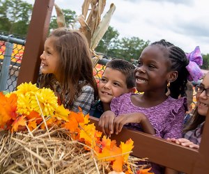 Diggerfest is Diggerland's fall festival and includes live music, specialty food, hay rides and plenty of fun and games. Photo courtesy of The Chamber of Commerce of Southern New Jersey