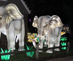 The Bergen County Zoo features a holiday lantern spectacular all season long. Photo courtesy of the zoo