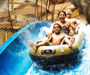 Enjoy a thrilling slide at the Great Wolf Lodge water park