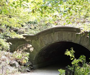 Central Park with kids North Woods Bridge