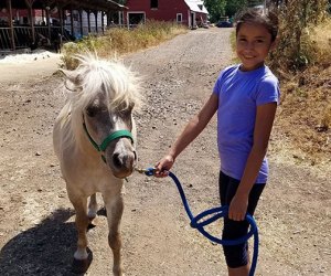 A girl leads a pony around Norz Hill Farm