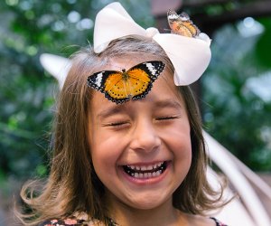 The Butterfly Palace: Branson with Kids: 50 Best Things To Do in Branson, MO