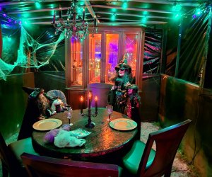 BeeLinks Halloween LED Black Light: 15W Spot Lights Outdoor