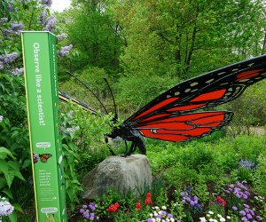 Spot butterflies—real and supersized—when you explore the newly reopened Everett Children's Adventure Garden at the New York Botanical Garden. 