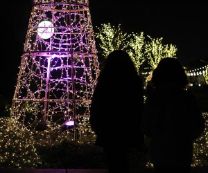 girls silouhetted New York Botanic Garden NYBG’s Newest Installation Makes the Holidays GLOW for NYC Families