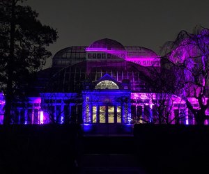 New York Botanical Garden's Enid A. Haupt Conservatory awash in colors