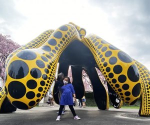 Polka dots, pumpkins, and mega-sized sculptures are fun for kids to see at NYBG's new Kusama installation. 