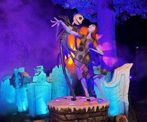 Join Jack Skellington, Sally, and Zero on a walk of wonders at NYBG's The Nightmare Before Christmas Light Trail. Photo by Ally Noel