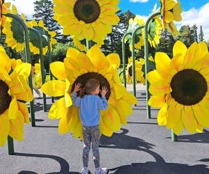 Van Gogh’s Flowers is now open at the  New York Botanical Garden through October 26.