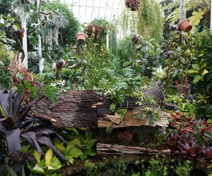 Wonderland: Curious Nature at NYBG