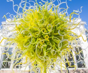 Chihuly Glass Sculptures Dazzle at NY Botanical Garden