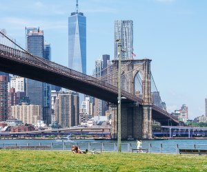 places to visit in new york with family