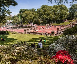 Things to do in NYC: Central Park
