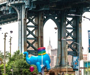 Line up on Washington Street for the Dumbo Drop Block Party. Photo courtesy of  the event