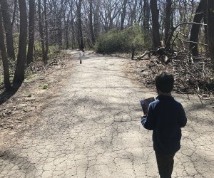 Best things to do in Queens Alley Pond Park
