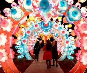 The annual Winter Lantern Festival is back for a fourth year, transforming SIUH Community Park into an immersive world of light. Photo courtesy of the festival