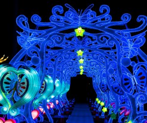 The Winter Lantern Festival: Journey to the East transforms SIUH Community Park into an immersive world of light. Photo courtesy of the festival