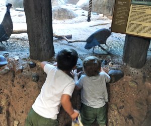 Kids explore the Staten Island Zoo in New York City