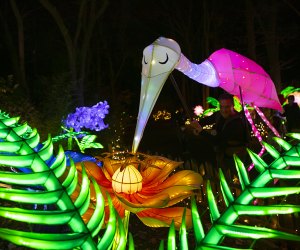 The Bronx Zoo's imaginative Holiday Lights debut before Thanksgiving. Photo by Julie Larsen Maher