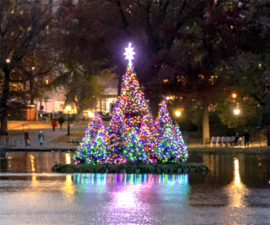 See a flotilla on the Harlem Meer get lit in Central Park. Photo courtesy of the Central Park Conservancy