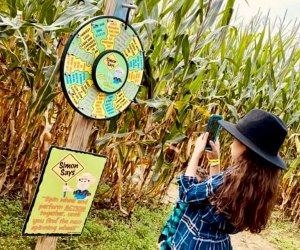 Mini Moo Weekend - Buford Corn Maze