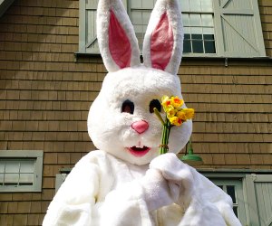Pose for pictures with the Easter Bunny at the Queens County Farm Museum's annual Barnyard Egg Hunt. Photo courtesy of the museum