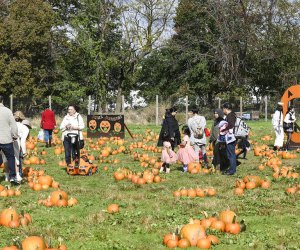 Staten Island's Historic Richmond Town is home to Decker Farm, which comes alive with Halloween spirit all season long. Photo courtesy of Decker Farm