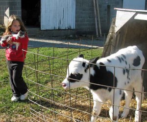 Farm Stays near NYC:Meadow View K Farm Guest House