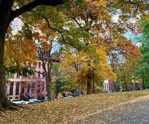 Fort Greene History Walking Tour: Fort Greene, Brooklyn with Kids