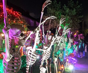 Skeletons in a Halloween display in Bayside