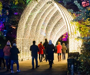 Lightscape at the Brooklyn Botanic Garden has become an enchanting holiday tradition for many families. Photo courtesy of the garden