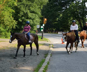 Be Brooklyn Equine at Prospect Park Stable: Horseback Riding in NYC
