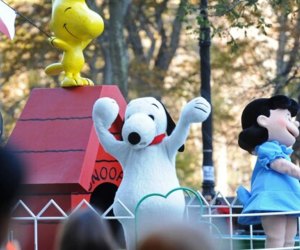 Take in views of the Macy's Thanksgiving Day Parade at the JW Marriott Essex House New York.