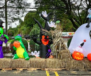 Halloween drive-thrus near NYC Stew Leonard