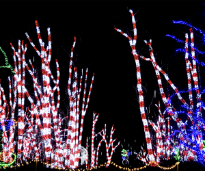 Holiday lights drive-thrus near NYC: Shady Brook Farm