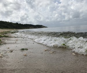 shoreline at Sunken Meadow State Park