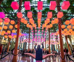 The Luminaries Return to light up the Winter Garden at Brookfield Place. Photo courtesy of Brookfield Place