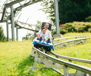 Ride a Mountain Coaster Near NYC Mommy Poppins