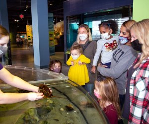 Best indoor play spaces with water tables: Liberty Science Center's Our Hudson Home