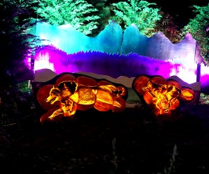See more than 5,000 carved, animal-themed jack-o'-lanterns at the Bronx Zoo's Pumpkin Nights. Photo by Jody Mercier
