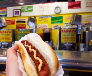 Gray's Papaya NYC on the Cheap: 