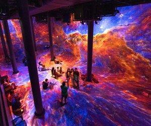 Invisible Worlds:” Inside the Immersive Museum Experience - NAB