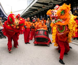 The Seaport hosts a celebration in honor of the Year of the Snake. Photo courtesy of QBG