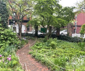Secret spots in NYC: Wycoff-Bond Garden 