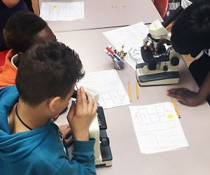 Choose from a wide range of STEAM programs during the STEAM Matters summer programs. Photo courtesy of the NYC DOE